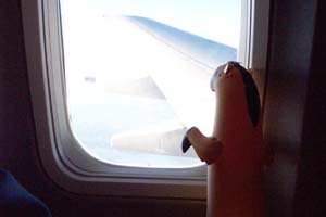 Flying Ferret
