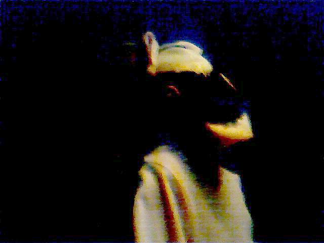 CamPic2adj