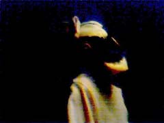 CamPic2adj
