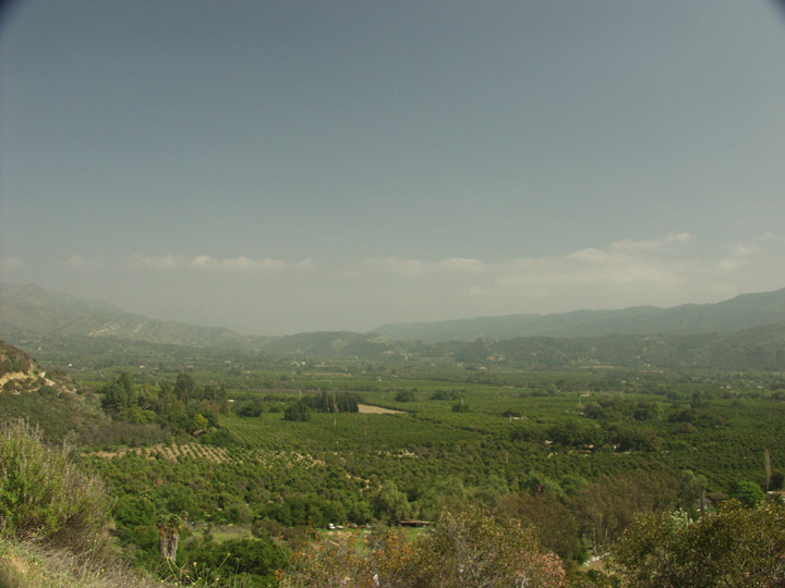 P3242265