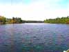 Pine Barrens Pond